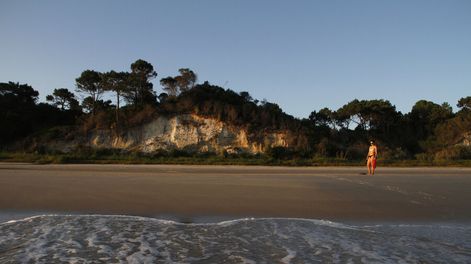 Búsqueda | “La gente quiere tener las casas cada vez más cerca de las playas” y eso agrava el deterioro del ecosistema, dice la especialista Mónica Gómez. Foto: NDA