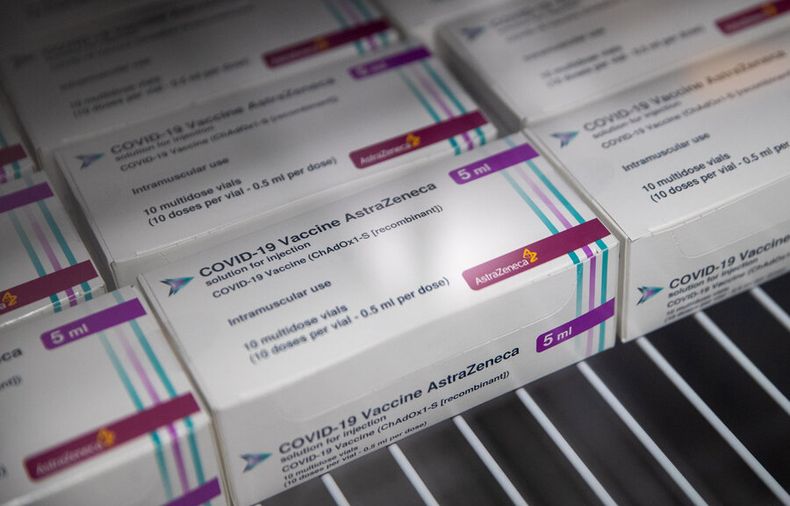 Vacunas Oxford-AstraZeneca. Foto: AFP.