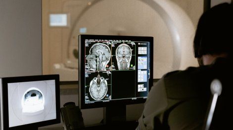 Búsqueda | Alzheimer-Pet