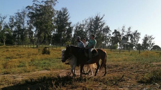 Inddhh pide que todos los menores internados en Carpei sean trasladados de forma “inmediata”. Foto: web de Carpei Inddhh pide que todos los menores internados en Carpei sean trasladados de forma “inmediata”. Foto: web de Carpei