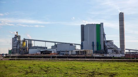 Planta UPM 2 en la localidad de Pueblo Centenario en el departamento de Durazno