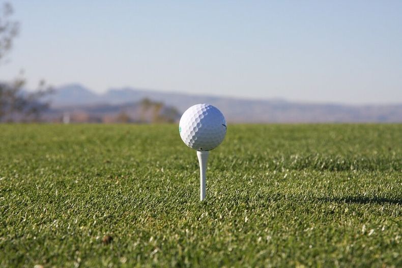 imagen de El estadounidense Kevin Kisner se impuso en el Mundial  Match Play, el segundo torneo de la Serie Mundial De Golf