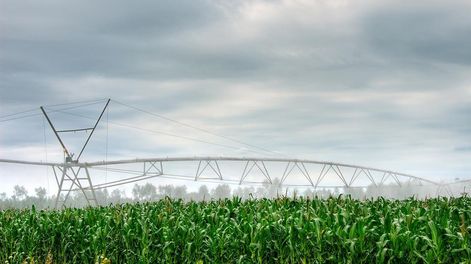 Para Arana emitir resoluciones de autorizacion de agua para riego en condicional con una duracion de 10 anos “no parece lo mas razonable”