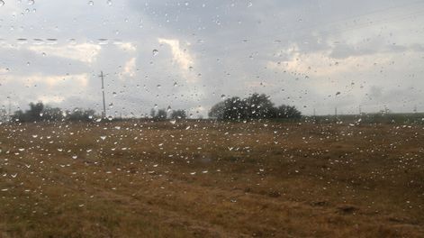 Búsqueda | La escacez de lluvias pone en alerta a los productores por el impacto negativo del déficit hídrico en los cultivos y la ganadería. Foto: Nicolás Der Agopián