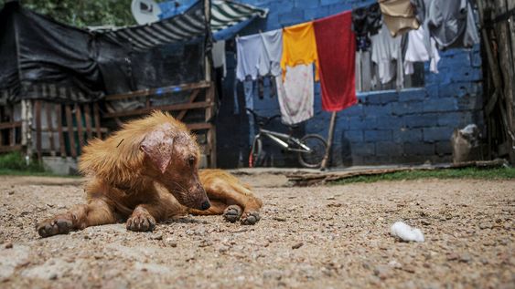 Foto: Javier Calvelo / adhocFOTOS Foto: Javier Calvelo / adhocFOTOS