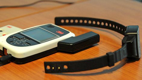 imagen de Las tobilleras electrónicas “no dan abasto” y el Ministerio del Interior reclama a los jueces que mejoren su uso