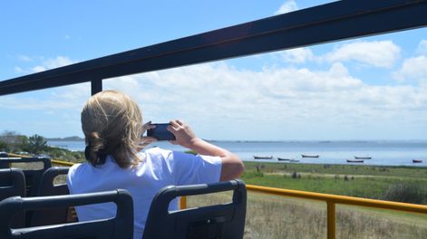 El bus turístico de Rocha funciona todo el verano como un conector entre balnearios y atractivos naturales del departamento. El bus turístico de Rocha funciona todo el verano como un conector entre balnearios y atractivos naturales del departamento.