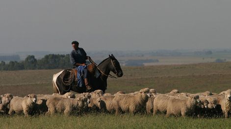 imagen de “Nos vamos a entender más con los partidos tradicionales que con el Frente Amplio”, dijo el nuevo titular de la Federación Rural