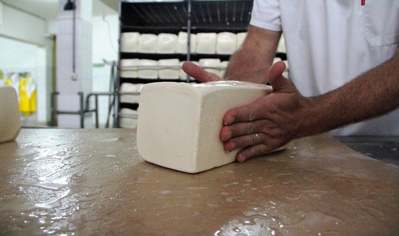 Las compras estatales pueden ser una herramienta de estímulo al productor familiar. Foto: Nicolás Der Argopián / Búsqueda