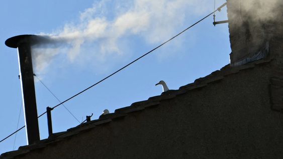 Habemmus Papam, el cónclave ha elegido a un nuevo pontífice Habemmus Papam, el cónclave ha elegido a un nuevo pontífice