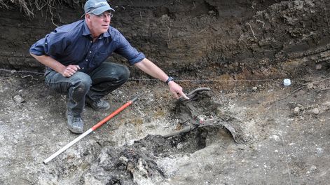imagen de El arqueólogo José López Mazz regresó como asesor de la investigación sobre detenidos desaparecidos durante la dictadura