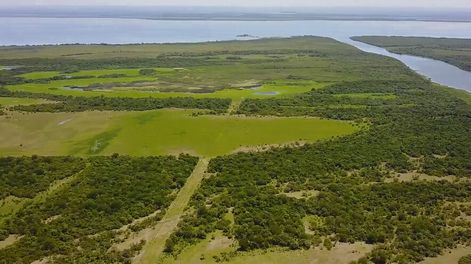 La isla de Lobos, en la desembocadura del Río Negro. Foto: Captura de un video de Estancia Isla de Lobos
