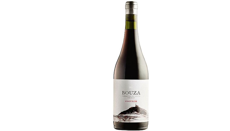 imagen de Sobre el pinot noir Viñedo Pan de Azúcar
