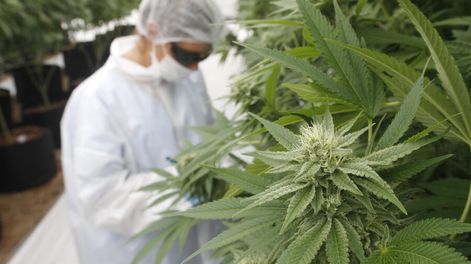 Búsqueda | 68096.jpg