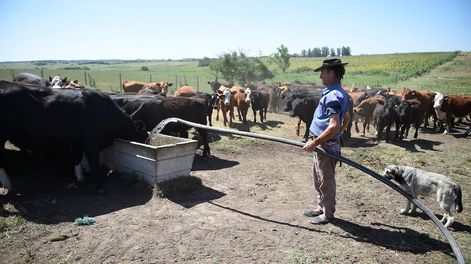 Foto: Daniel Rodriguez / adhocFOTOS