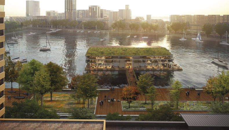 imagen de Oficinas flotantes y eco-friendly en Róterdam