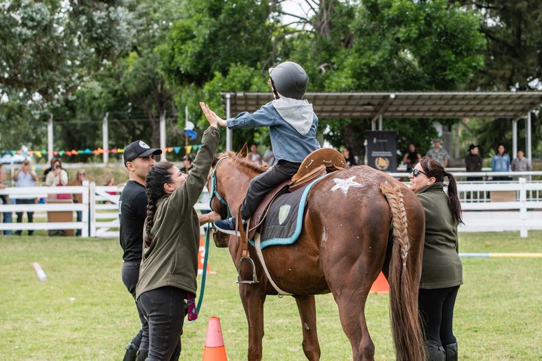 Guardia Republicana Equinoterapia Caballos