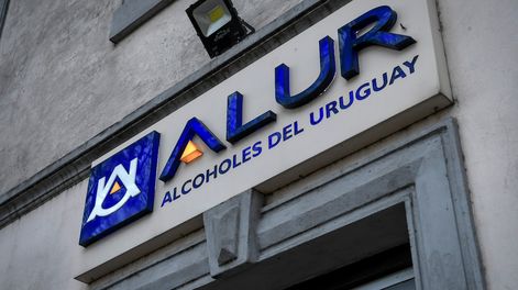 Una veintena de productores concentra la mitad del área total del cultivo de caña de azúcar 