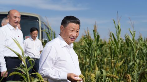 El presidente Xi Jinping se propone que China se convierta en una potencia agrícola a mediados de este siglo