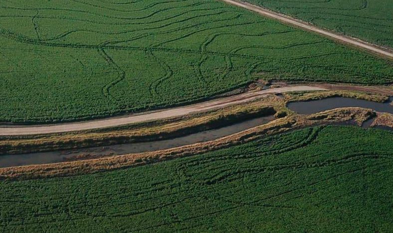 En los años recientes cobraron impulso los sistemas de rotación de arroz, soja y ganado, específicamente en zonas del este.