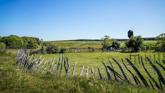 Campo en el departamento de Flores. Foto: Javier Calvelo / adhocFOTOS Campo en el departamento de Flores. Foto: Javier Calvelo / adhocFOTOS