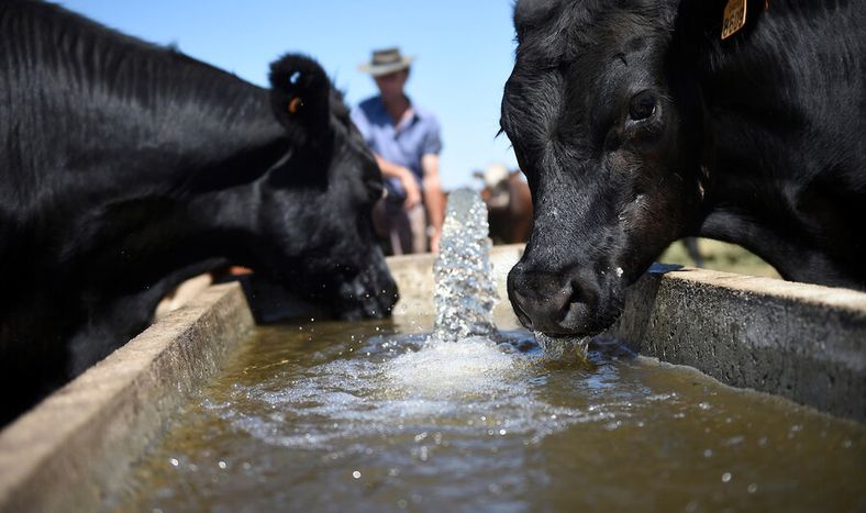 Foto: Ricardo Antúnez / adhocFOTOS