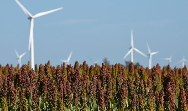 En 2024 la generación eléctrica fue 99% con fuentes renovables.