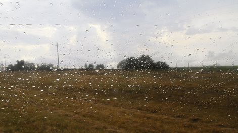 La mayor probabilidad de escasez de lluvia genera incertidumbre para la producción de granos. Foto: Nicolás Der Agopián / Búsqueda