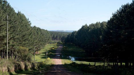 Campo en Rivera.