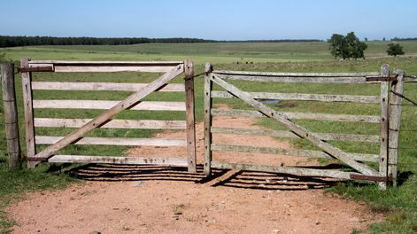 imagen de Grupo de investigadores comprobó que la erosión reduce en poco más de US$ 1.000 en el precio de un campo promedio estudiado
