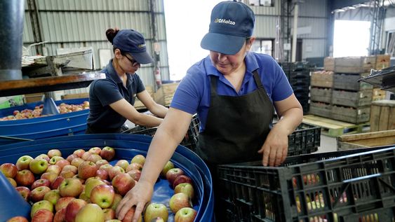 El desempleo en el interior del país se ubicó en 8,7% de la población activa El desempleo en el interior del país se ubicó en 8,7% de la población activa