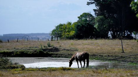 Foto: Javier Calvelo / adhocFOTOS