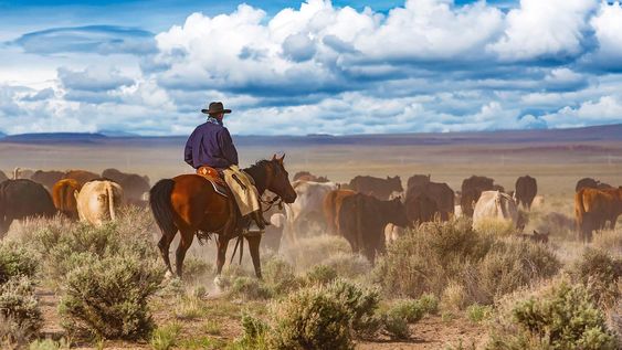 La escasez de carne en Estados Unidos, y el alto precio que ya es récord, pueden ir más arriba La escasez de carne en Estados Unidos, y el alto precio que ya es récord, pueden ir más arriba