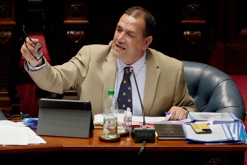 Senador Sebastián Da Silva durante la interpelación al ministro de Ganadería, Alfredo Fratti, el miércoles 13