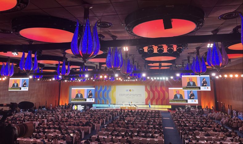 El plenario de la Segunda Cumbre Mundial para el Desarrollo Social, que tuvo la semana pasada en Doha.