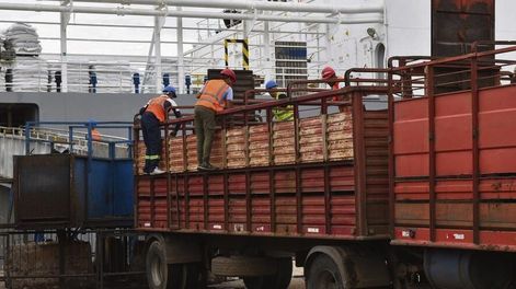 La demanda china se presenta más cauta que en años anteriores. Foto: Agro de Búsqueda