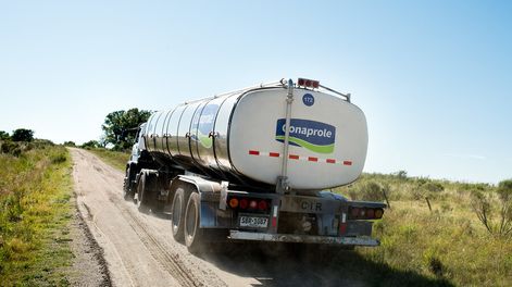Un camión de Conaprole. Foto: Ricardo Antúnez, adhocFOTOS