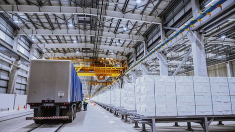 Las exportaciones de celulosa en el 2024 fueron por US$ 2.545 millones