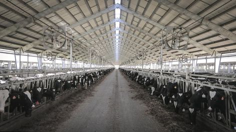 El megatambo del empresario Alejandro Bulgheroni es una de las empresas que aportó al fondo lechero. Foto: Estancias del Lago