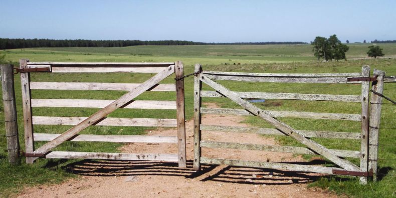Empresarios de otros rubros deciden invertir en campos en Uruguay, por considerarlos un buen resguardo de su capital
