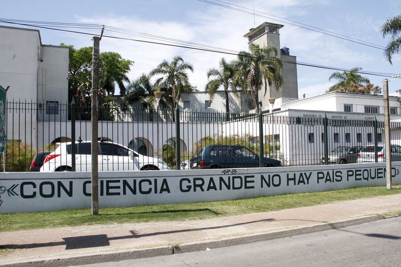 imagen de El sector científico pasó de un deterioro “terrible” a recuperarse   con un “esfuerzo titánico” y un “entusiasmo extraordinario”