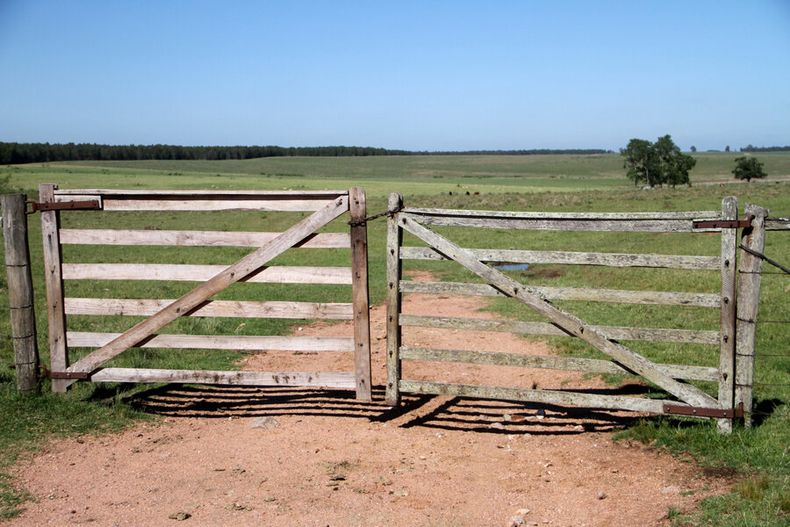 La política oficial de tierras es cuestionada por los recortes presupuestales y la no compra de más campos. Foto: Nicolás Der Agopián / Búsqueda