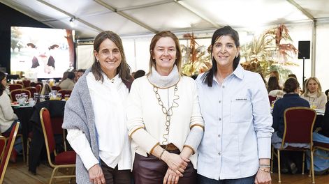 Búsqueda | _VAL_3486