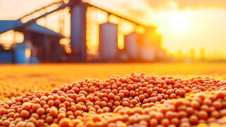 Uruguay tiene potencial para aumentar en 2.000 kg/ha su producción de soja con riego y 1.500 kg/ha en secano.