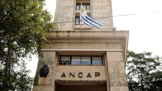 El directorio del ente sesiona en el tercer piso del edificio sede El directorio del ente sesiona en el tercer piso del edificio sede