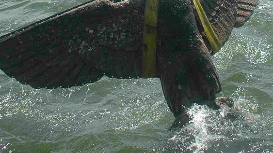 imagen de El águila del Graf Spee reposa en un limbo patrimonial imagen de El águila del Graf Spee reposa en un limbo patrimonial