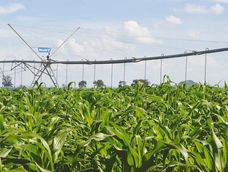 Se estima que aumentando el represamiento de solo el 2% del agua que escurre se podrían regar 600.000 hectáreas de maíz.