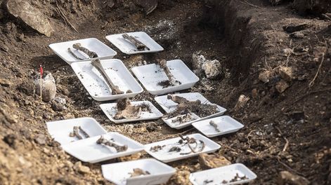 Parte de los restos óseos encontrados en el Batallón 14. Foto: Sofía Torres