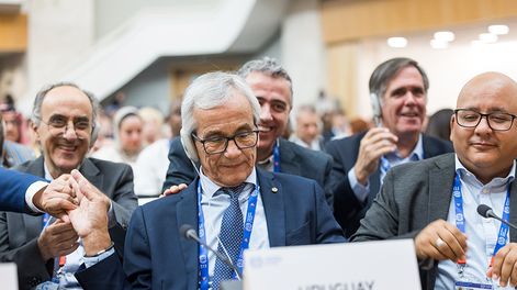 El ministro Castillo en la 114ª Conferencia Internacional del Trabajo, que empezó este lunes en Ginebra.