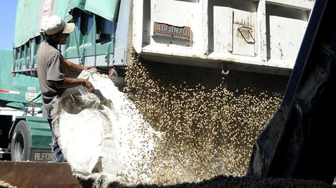 Trabajos de carga de granos en el puerto de Montevideo. Foto: Javier Calvelo / adhocFOTOS